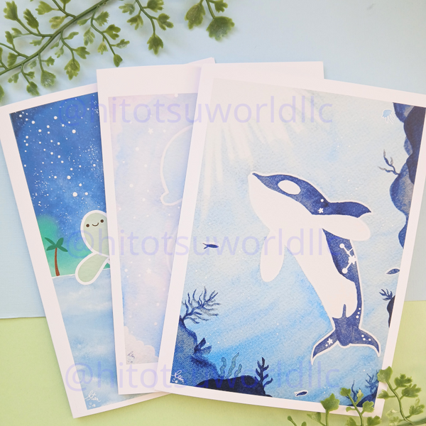 Greeting Cards: Ollie the Orca